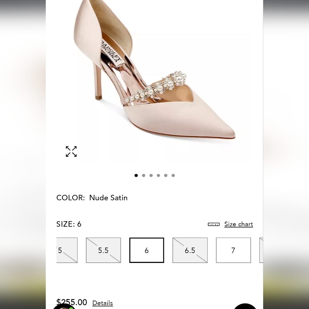 Badgley mischka nathalie pumps